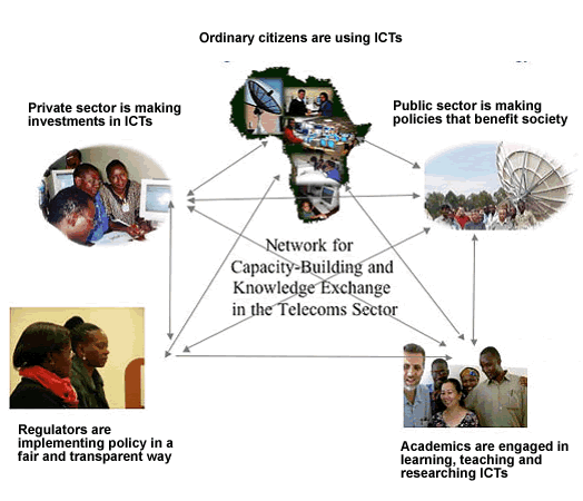 Diagram showing linkages across different elements of the network for capacity building and knowledg